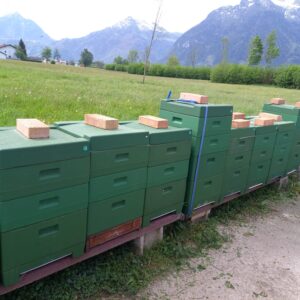 Bienenstand im Lammertal vor den Bergen