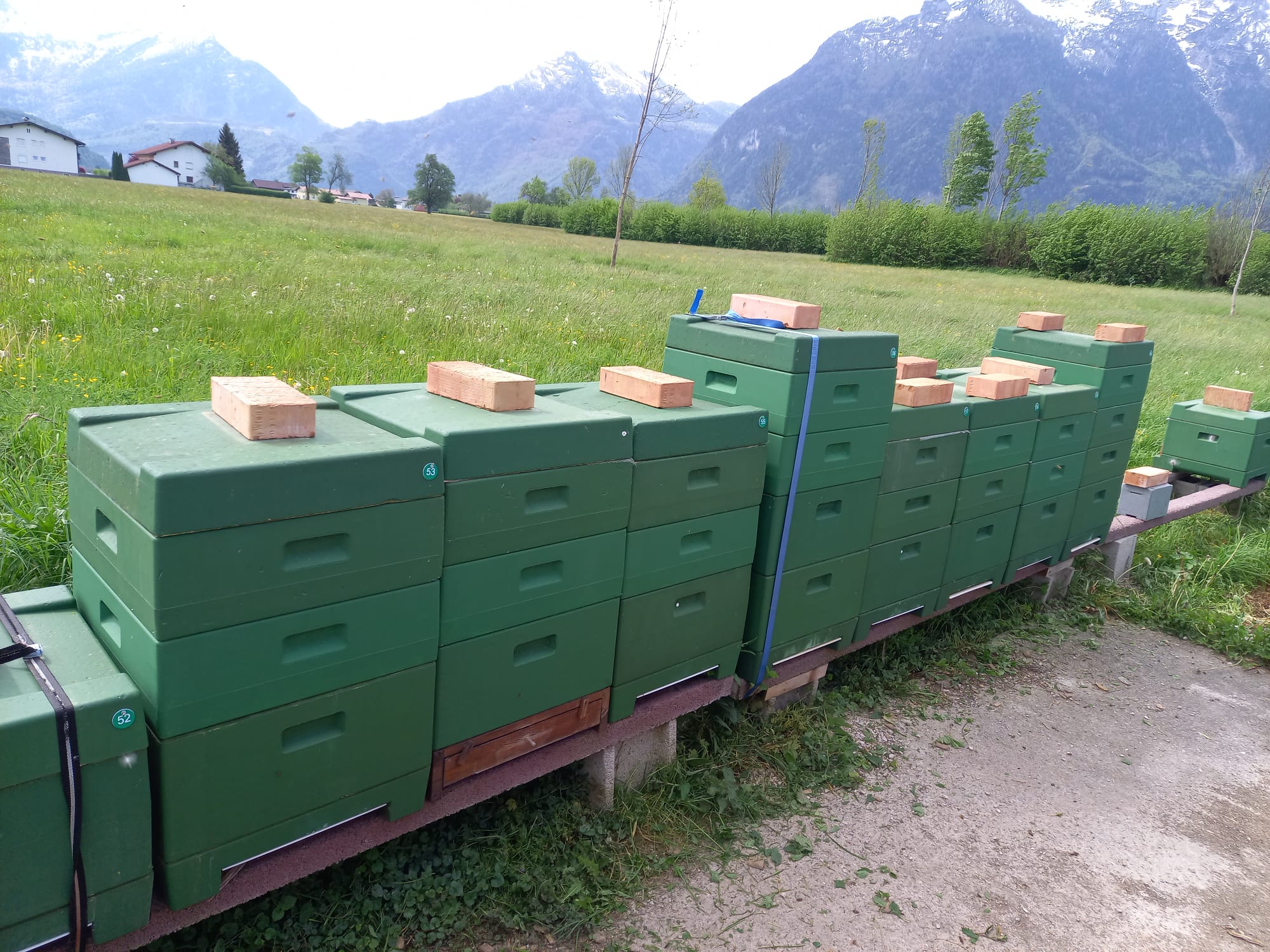 Bienenstand im Lammertal vor den Bergen